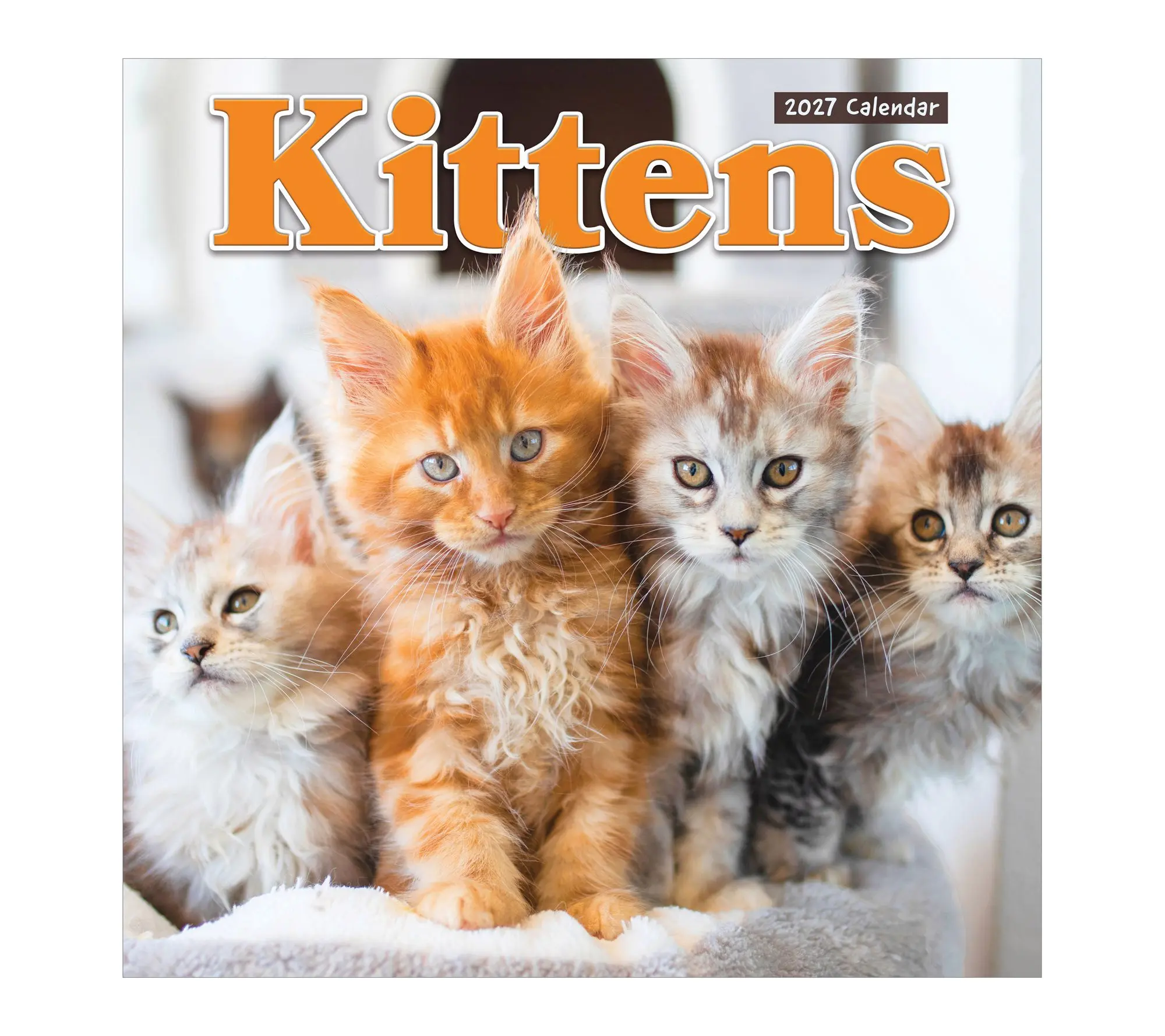 TF Publishing 2027 Kittens Wall Calendar