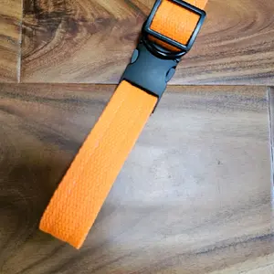 Neon Orange Dog Collar