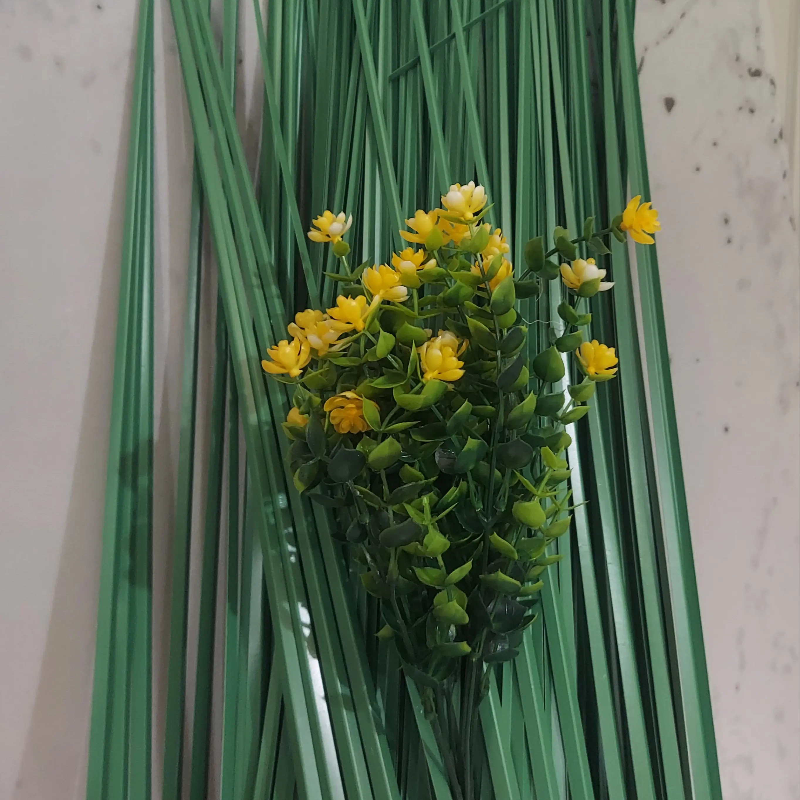 MULUYA GRASS For Coffee  CEREMONY