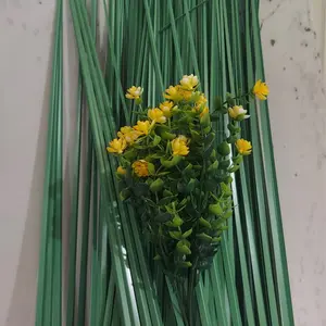 MULUYA GRASS For Coffee  CEREMONY