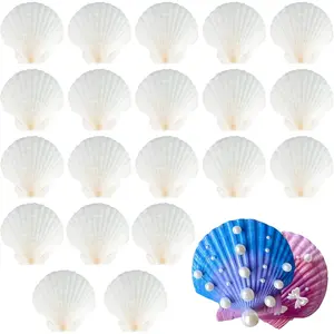 20Pack White Scallops Natural Shells Decorative Shell for Crafts Wedding Decoration Beach Theme Party Fish Tank DIY (3.15inch) - Home Improvement.