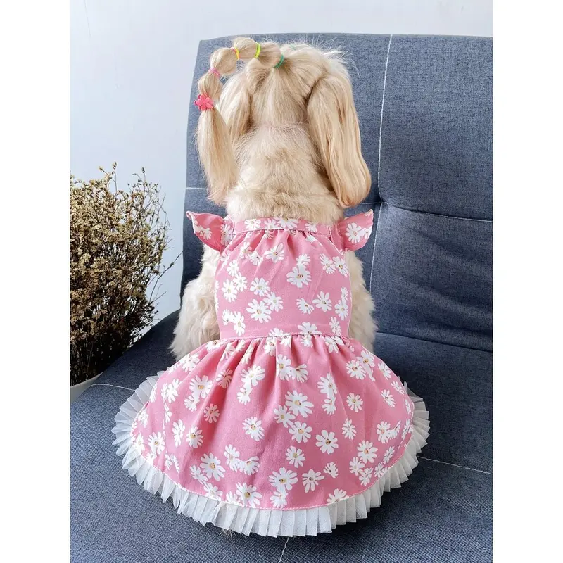 Dog burgundy dress - TikTok Shop