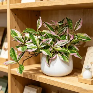 Artificial Spider Plant with Colorful Leaves in Pot, Lifelike Artificial Plant with Pink and Green Variegated Leaves, Low-maintenance Decorative Piece, Indoor Faux Plant, Perfect for Valentine's Day, Mother's Day, Ideal for Decorating Home & Garden