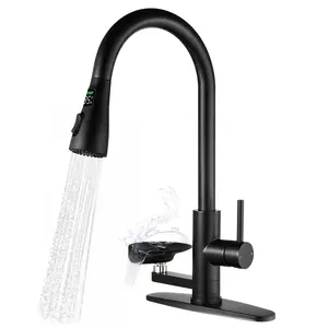 3-in-1 Kitchen Faucet with LED Temperature Display, Built-in Glass Rinser & Pull-Down Sprayer | High Arc Kitchen Sink Faucet, 3 Spray Modes, Matte Black Finish