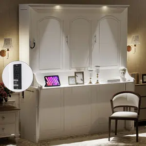 Queen Size Murphy Bed with Desk,LED Lights and USB Charging Station,White(ETA:9/1)