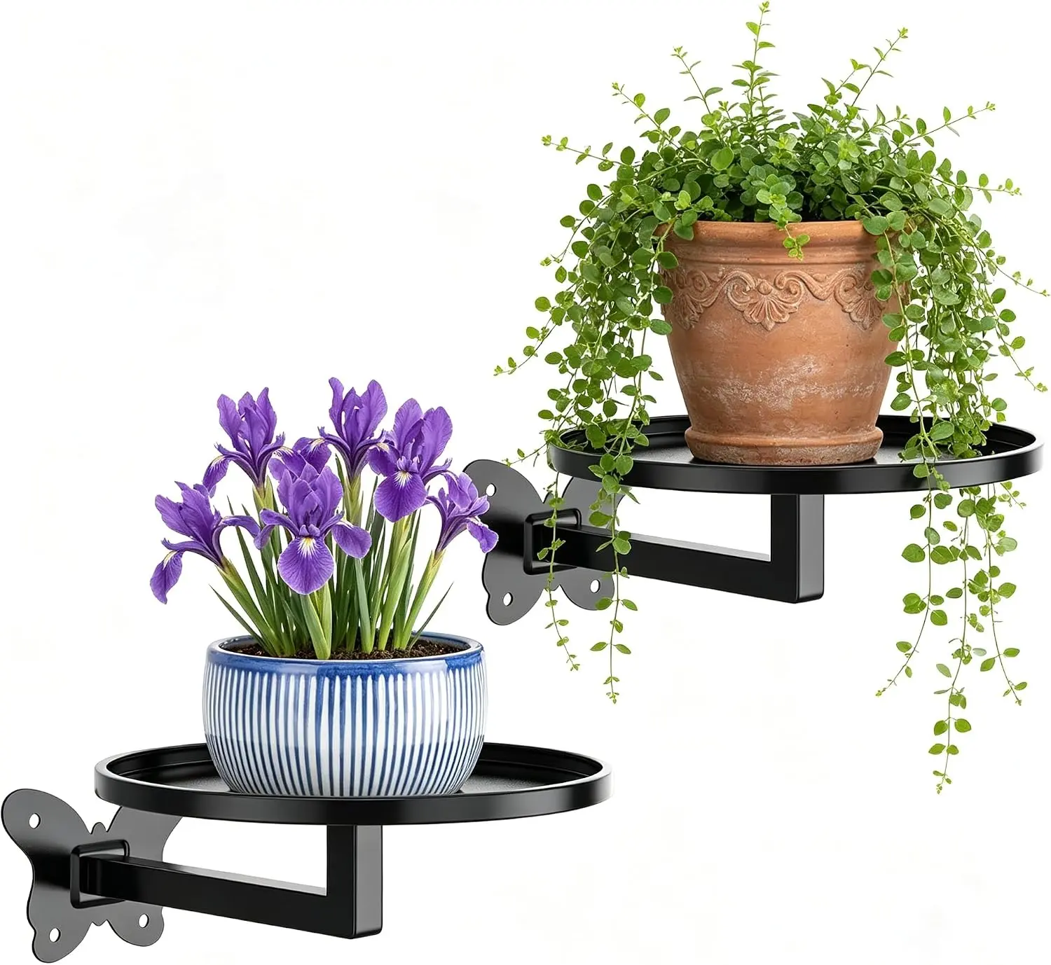 Wall Mounted Plant Shelf 2 Pack Black Iron Hanging Floating Wall Planter Stand Round Shelf Indoor Outdoor Butterfly Decorative Flower Pot Holder for Succulent Cactus Herb Garden Rustic Home Decor