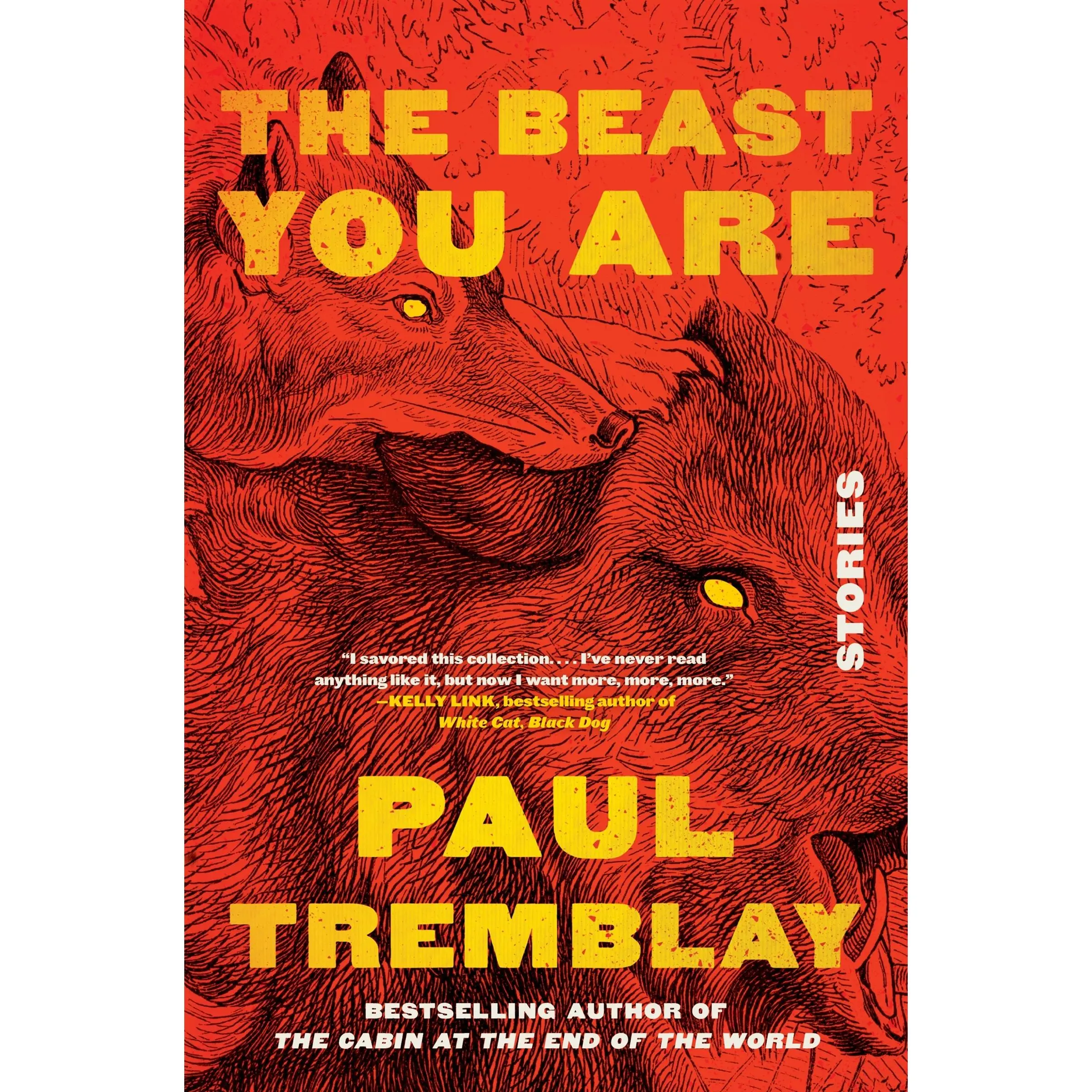 The Beast You Are: Stories by Paul Tremblay [Paperback Book]