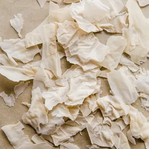 Dehydrated Sourdough Starter