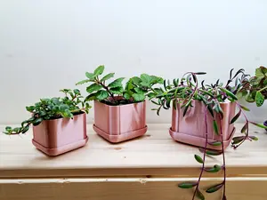 Square Planter Set 3D Print with Trays