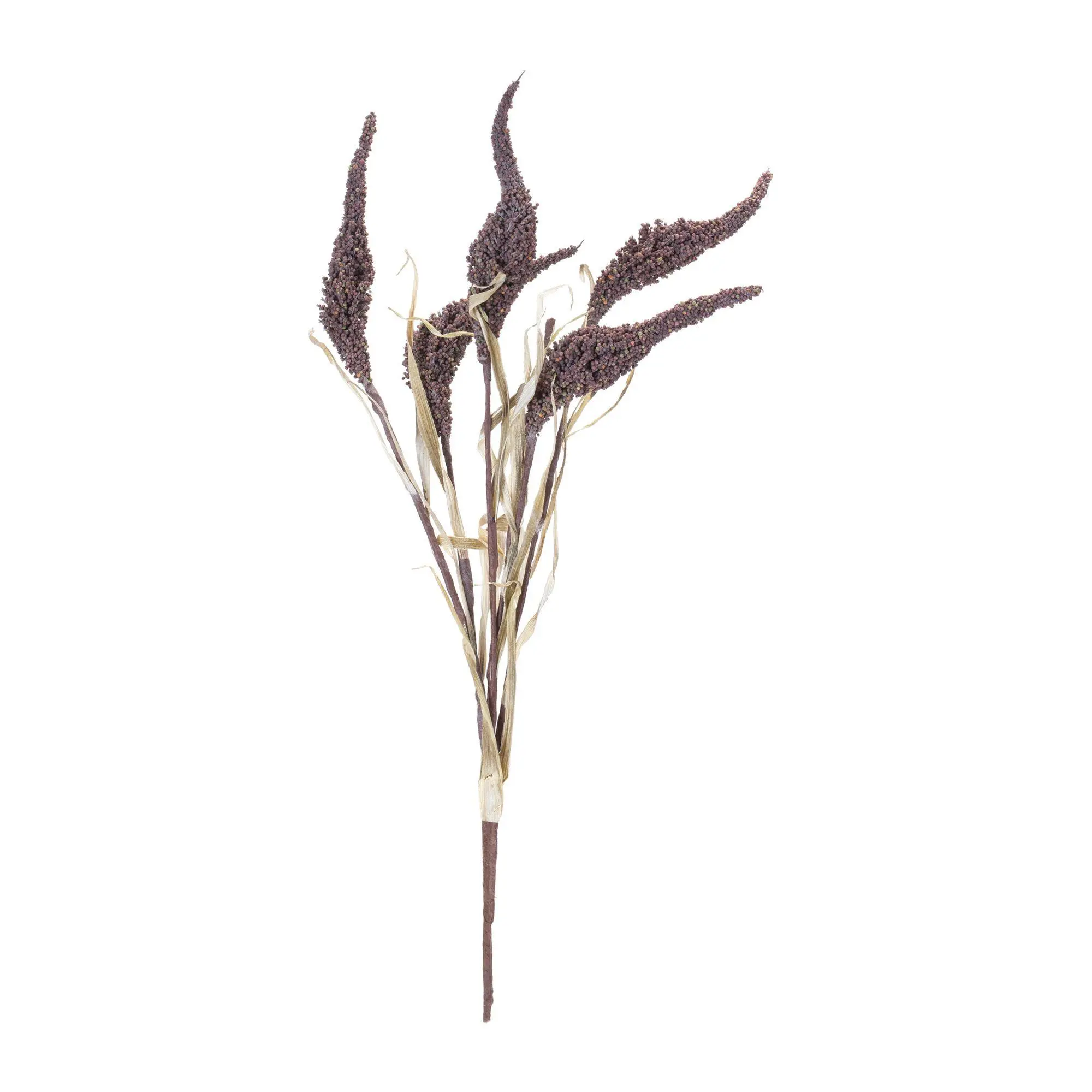 Melrose Seeded Harvest Plume Bush (Set of 12)