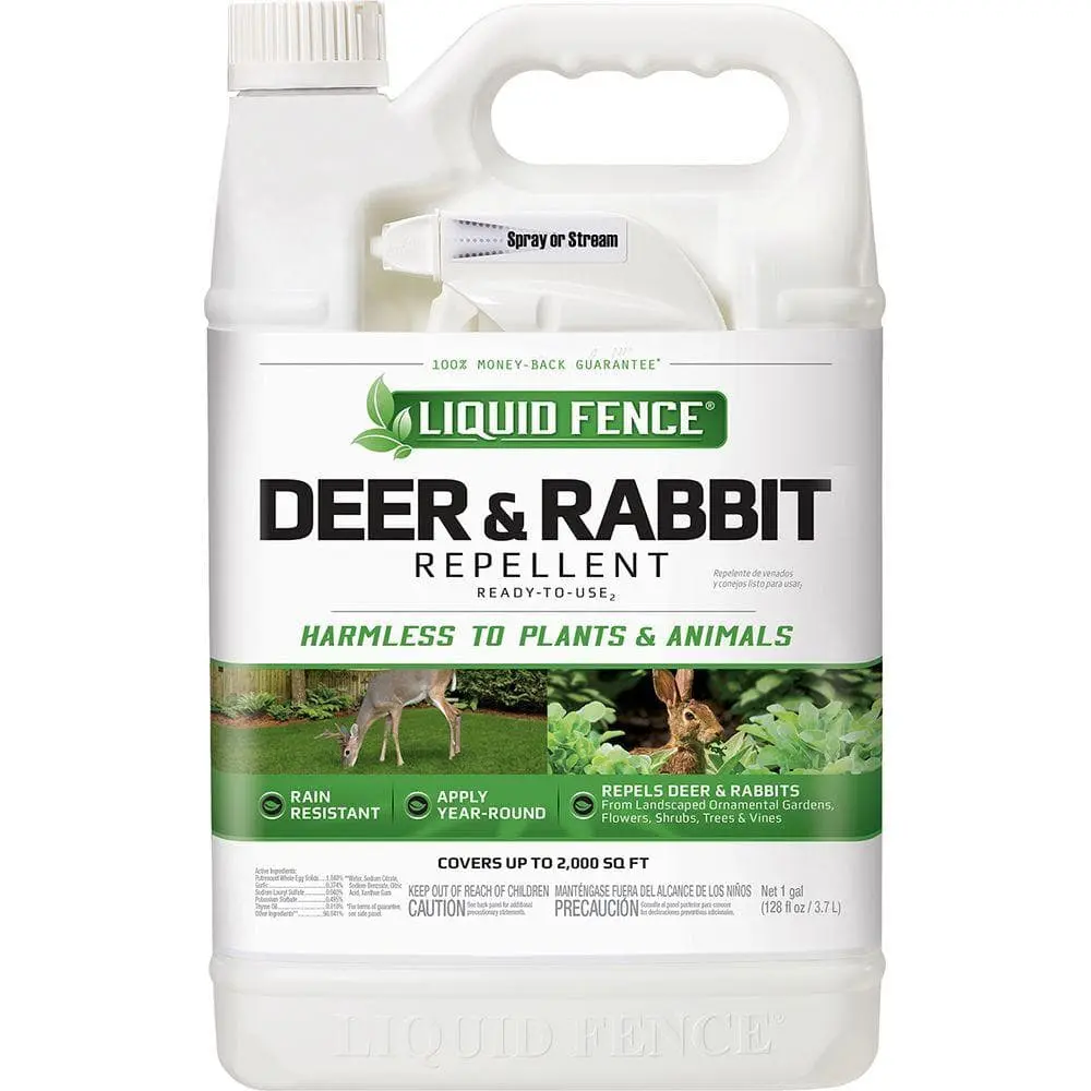 1 Gal. Ready-to-Use Deer and Rabbit Repellent
