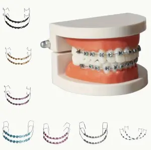 Metal Bracket Teeth Decoration - Stylish Metal Bracket Teeth with Hooks for Modeling and Teaching Aids, Durable Dental Material Oral