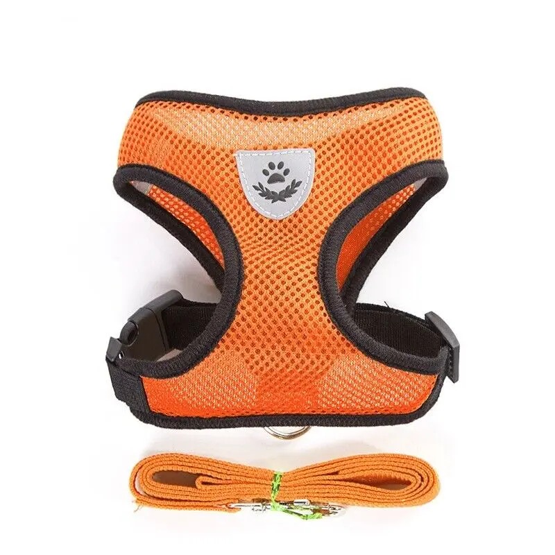 Mesh Nylon Vest Dog Harness for Puppies & Dachshunds - Adjustable Velcro, Chewproof, Mesh-Padded, Soft, Breathable, Multi-Size, Multi-Color, Safety Leash-Included Walking Harness, Dachshund Harness, Adjustable Velcro Harnesses