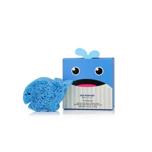 Walter Whale Sea Animals