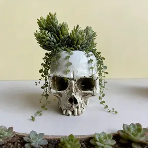 1pc Modern Resin Skull Bowl Candy Dish, Skeleton Head Plant Pot for Succulents, Succulent Planter, Modern Plant Pots, Decorative Ornament for Living Room Bedroom Office Garden Balcony