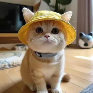 Cute Ears Out Pet Hat, Cat Dog Hats, Sun Protection Fisherman Cap, Adorable Animal Headwear, Stylish Outdoor Accessory