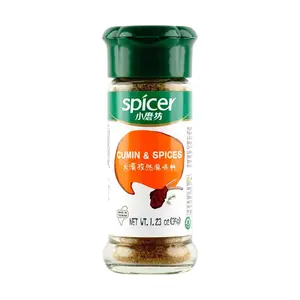 TOMAX Taiwanese Cumin BBQ Seasoning Powder - Authentic Desert Flavor, 35g