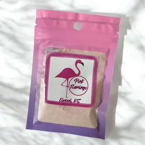 Pink Flamingo Wild Berry Protein Loaded Tea Add In - 7g Protein Per Packet for Enhanced Tea Nutrition