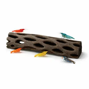 6-Inch Cholla Wood | Natural Aquarium Hardscape for Shrimp Tanks