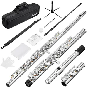 POGOLAB Open Hole C Flute, Silver Plated 16 Keys, Flute Instrument for Beginner Advanced Player, Student Flute with Case, Stand, Strap, Probe rod, Gloves, Adjustment Screwdriver, Cleaning Kit