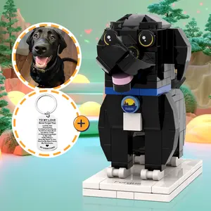 Fergus Cute Dog Custom Brick Figure with Keychain Set The Sleepy Paramedic Fans Merchandise