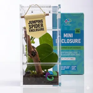 Jumping Spider Enclosure - Complete Acrylic Terrarium Habitat for Spiders, Tarantulas, Praying Mantis - Small Spider House with Front Opening Door - Bug Enclosure for Arboreal Species