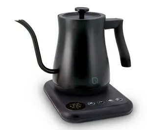 Willow Electric Gooseneck Kettle