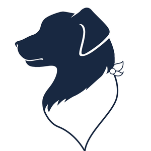 Dog Bandana Co.