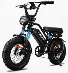 Electric bicycle, 16-inch * 4.0 snow tires, youth/adult electric bicycle, 1150W small electric bike, 48V 15.6Ah removable battery, top speed 22 mph, range 50-56 miles, unisex electric off-road/mountain bike A13