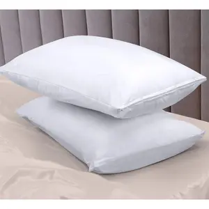 Waterproof Pillow Protectors Zippered (2 Pack, White) , Zippered Pillowcases, Bed Bug Proof Pillow Encasement Covers 20 x 30 Inches