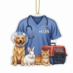 Personalized Veterinarian Christmas 2025 Acrylic Ornament, Custom Name Vet Tech 2D Flat Veterinary Medicine School Keepsake Gift Hanging Tree Decoration