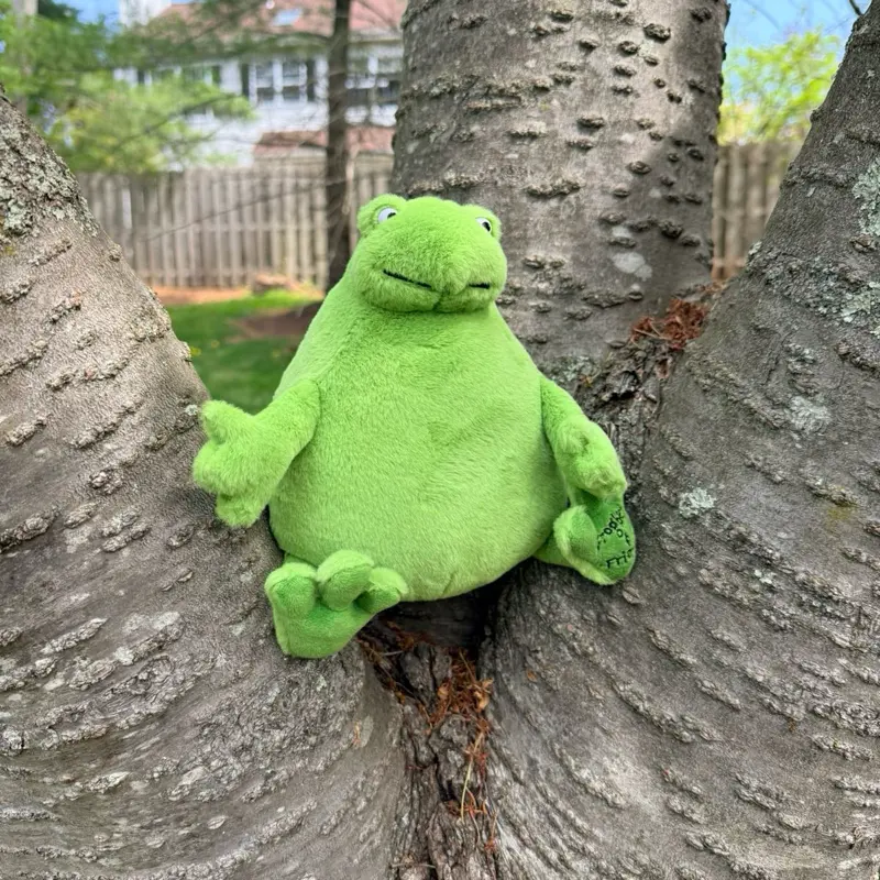 Frogbert Plushie, Soft Stuffed Animal Toy for Kids, Cute Decor for Bedroom