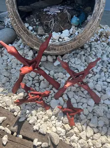 Wooden Display Stand- "Cobra Snake" for Shells, Rocks, Eggs