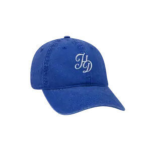 HD Logo Dad Hat