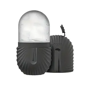 Shell Shape Silicone Material Ice Face Mask, Facial Cooling Massage, Improves Skin Problems, Enhances Facial Glow, Perfect Gift for Birthday Christmas Mother's Day