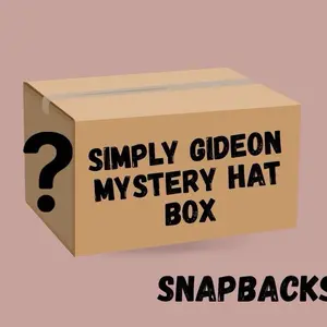 Mystery Hat Box, Randomly Chosen Hats, Funny mystery Hats, Trucker Hats