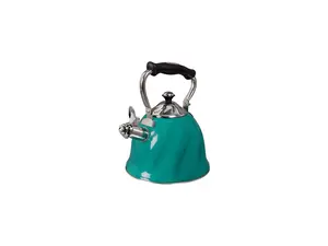 Mr Coffee 92114.01 Alberton Tea Kettle with Lid & Emerald, Green