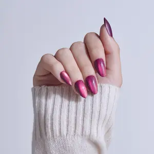 KISS CORE Magnetic Press On Glue Nails - Glittering