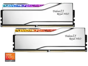 G.SKILL Trident Z5 Royal Series 32GB (2 x 16GB) 288-Pin PC RAM DDR5 6000 (PC5 48000) Desktop Memory Model F5-6000J2836G16GX2-TR5NS