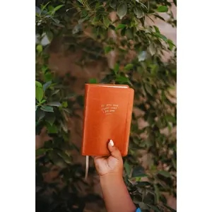 Catholic Compact Journaling Bible