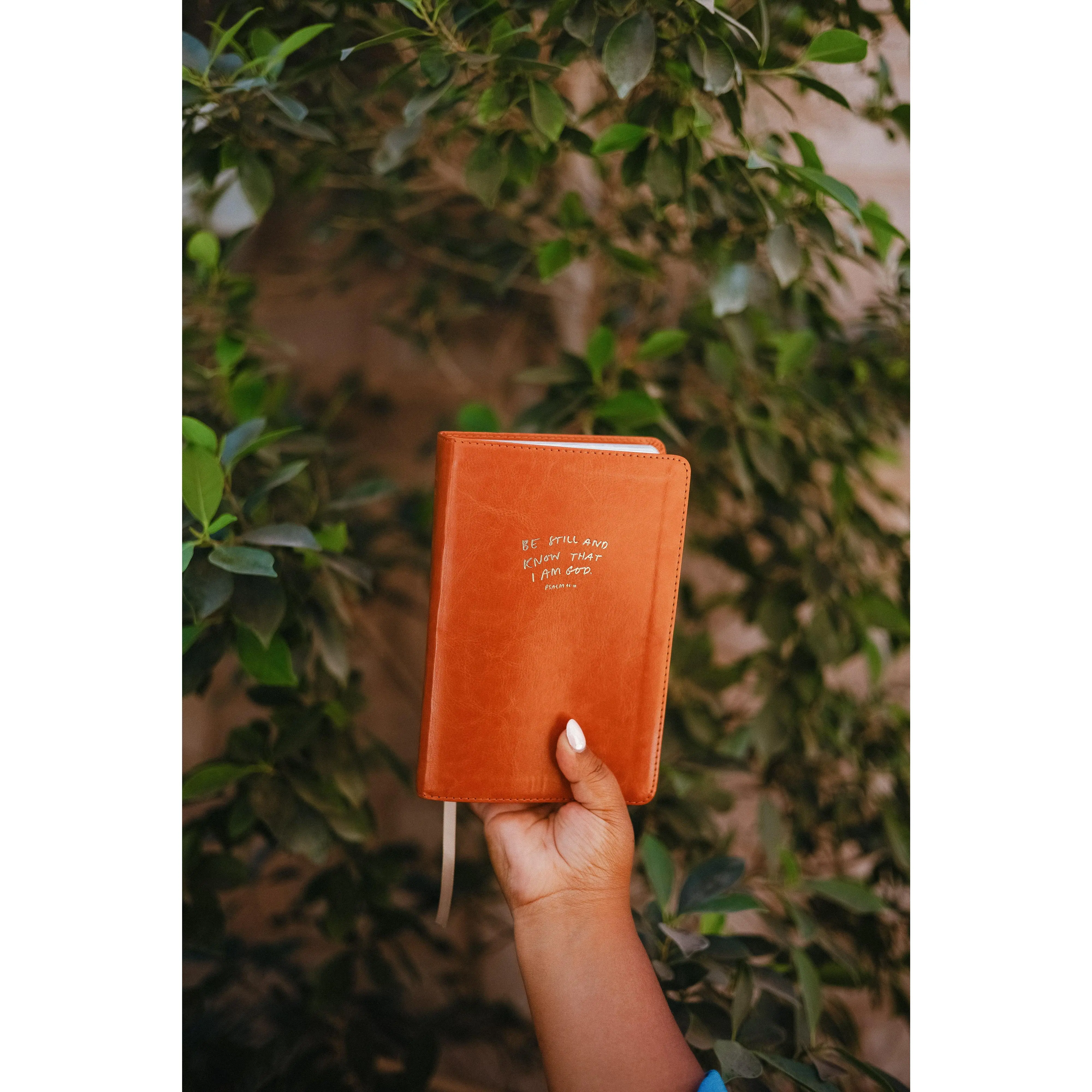 Catholic Compact Journaling Bible, with 1-inch Journaling Space for Scripture Reflection, Daily Prayer & Pocket Devotion