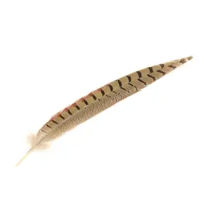 TAN/BROWN FEATHER