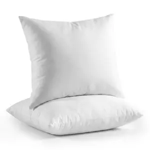 20x20 Inch Pillow Inserts Set of 2, Soft Fluffy Polyester Filled Square Throw Pillows, Machine Washable Decorative Pillow Stuffers for Couch, Sofa, Bed, Living Room Decor
