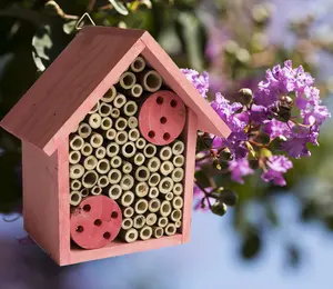 Cestari Mason Bee House Bamboo Tube Solitary Bee Hotel – 75 FSC‑Wood & Bamboo Tubes, 8 × 7.5 × 5 in, Rose Pink