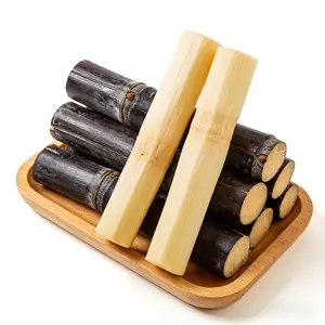 Tropical Sugarcane Seeds – Grow Your Own Sweet Grass at Home, Suitable for Outdoor Garden Beds and Large Pots, Easy Care for Beginners