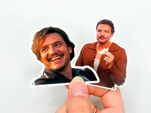 Pedro Pascal Sticker Bundle | Pedro Meme Sticker | Stickers for Water Bottle | Stickers for Laptop | Aesthetic Stickers | Kindle Sticker