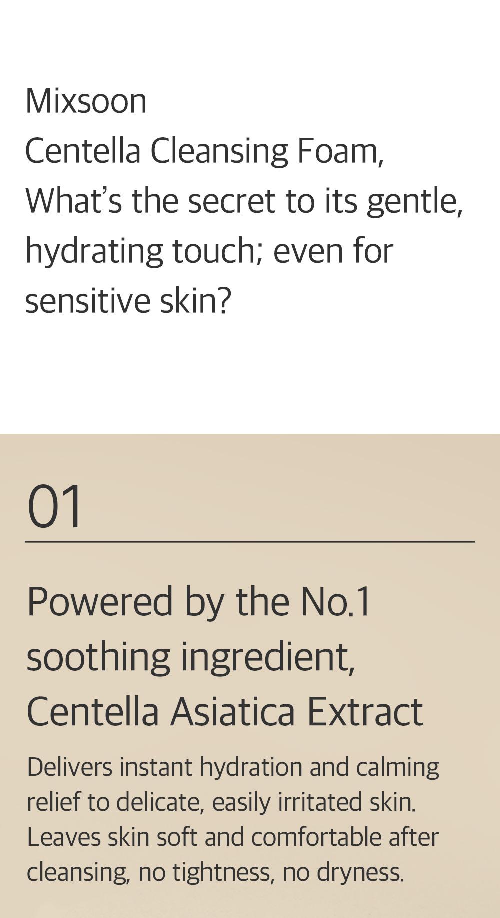 [mixsoon Official Shop] Centella Cleansing Foam 5.07 fl.oz / 150ml - Low pH cleansing foam for soothing and moisturization, Korean Glass Skin Care