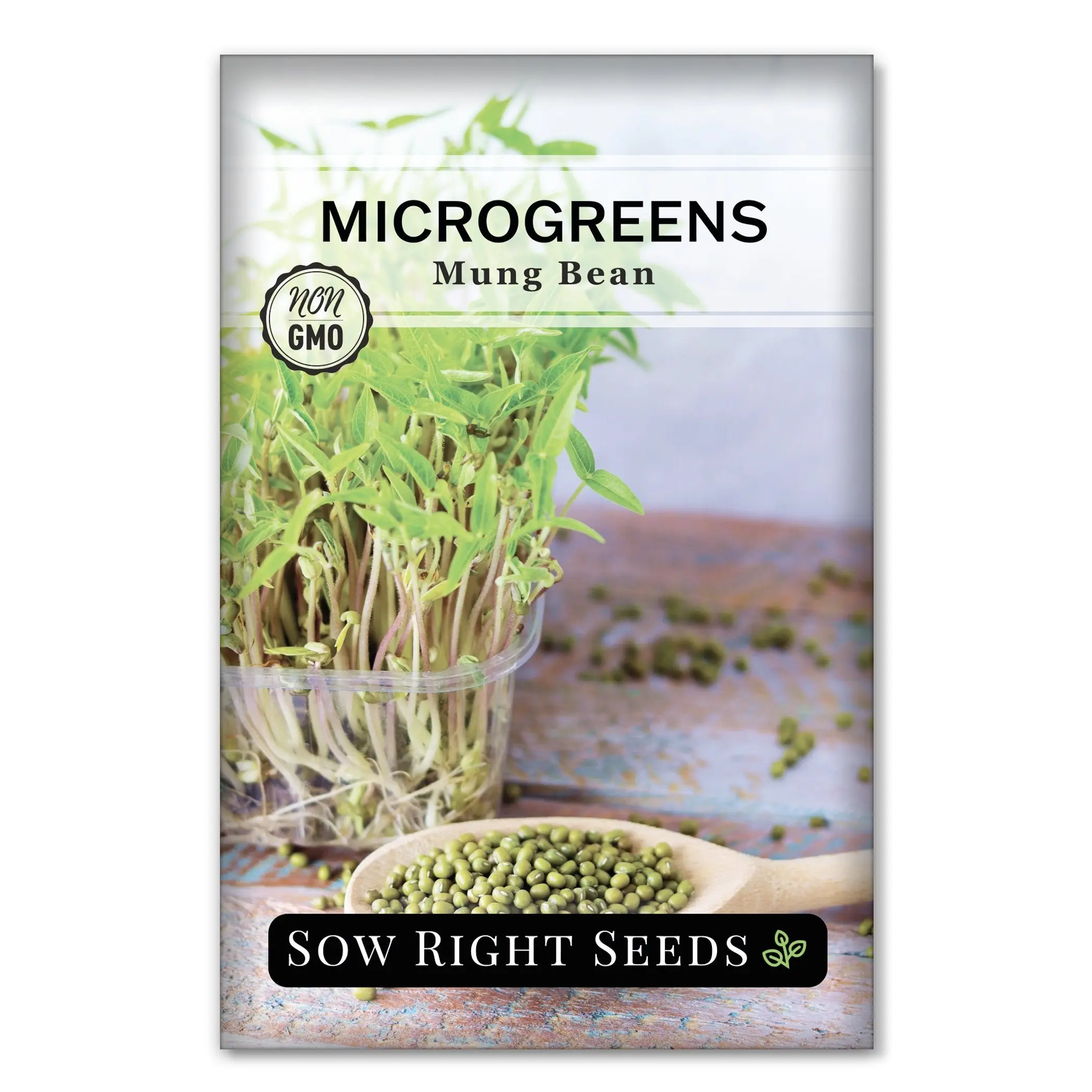 Microgreens Mung Bean Microgreens Mung Bean