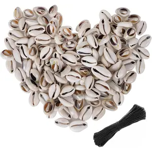 150 PCS 0.63"-0.71" Natural Strong Cowrie Shell Beads Smooth Cut Oval Seashells  Beach with Big Hole for DIY Craft Jewelry Making Adorning Hair Locks and Braids