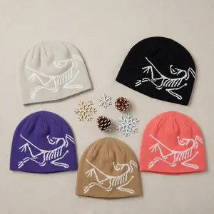 Arc'teryx Bird Head Toque Beanie – Merino Wool Blend Knit Winter Hat, Unisex, Multiple Colors